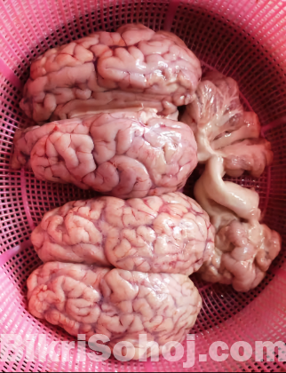 গরুর তাজা মগজ